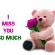 Love Quotes about love sayings I miss You So Much Always love