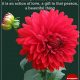 Positive Quotes About Love Don't Hold Back Your Beautiful Thing