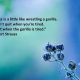 Success Quotes About life thought Don't Quit When You Got success Life