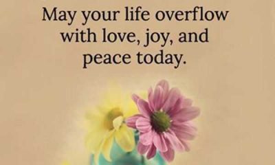 Good Morning Quotes Love Sayings Good Morning Life Overflow With Love