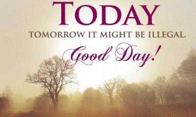Inspirational quotes and Sayings Do it Today, Tomorrow Illegal