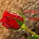 Love Quotes of the day Love Sayings I Miss You Forever