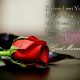 Relationship Quotes Why Best Relationship Advice To Smile For No Reason