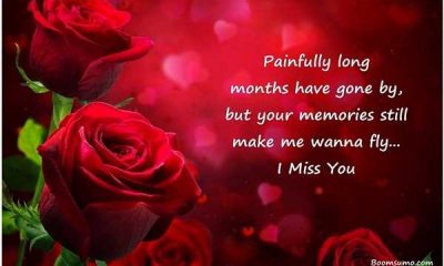 Sad Love Quotes Painfully Long Months Gone