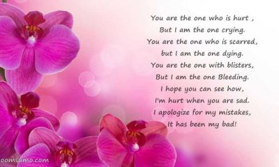 You Are The One Who Is Hurt Sad Love Quotes Sayings