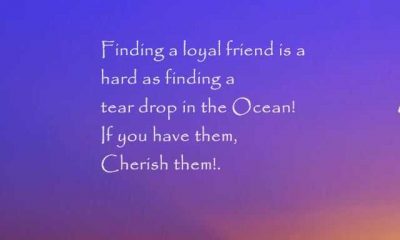 Best Friendship Quotes Finding a loyal friend, keep it