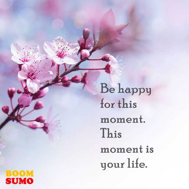 Best Life Quotes Be Happy For This Moment Be Live