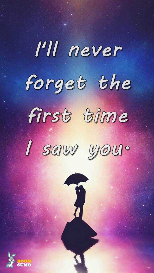 Best Love Quotes Never Forget The First Time I Saw You