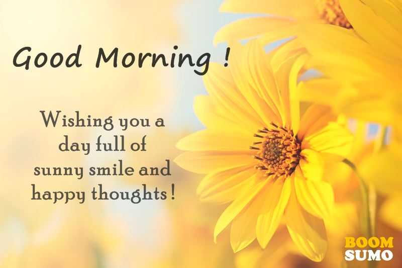 Good Morning Quotes: Awesome Day Full Of Sunny Smile And 