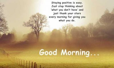 Good Morning Quotes Just Stop Thinking Stay Positive