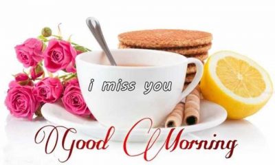 Good Morning Quotes Why Is Everyone Talking About I Miss You