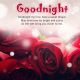 Good Night Quotes My Love Have A Sweet Dream