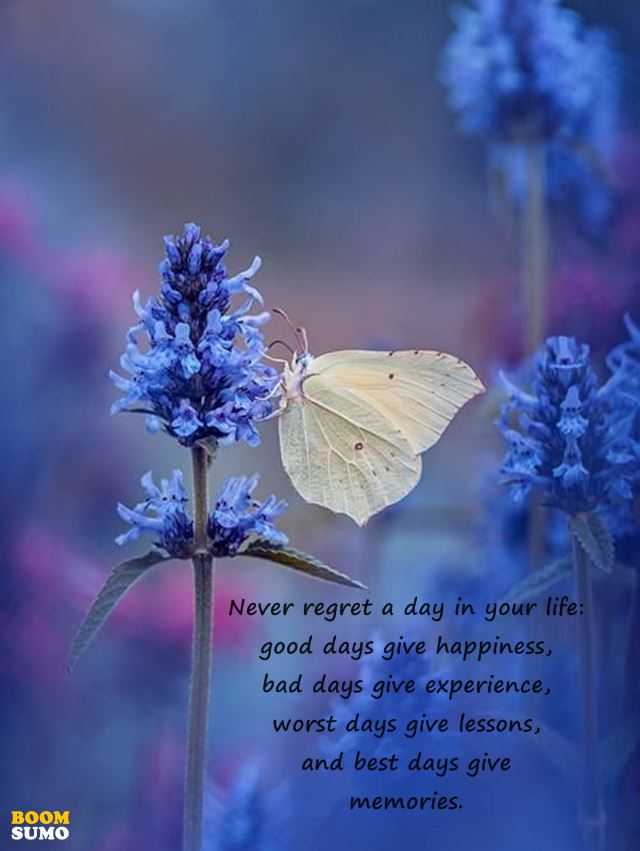 Inspirational Life Quotes Ill Cry Less Good Days Give Happiness