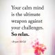 Inspirational Quotes So Relax Your Calm Mind Is The Ultimate