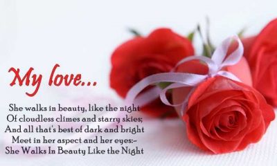 Love Quotes For Him She Walks In Beauty Like The Night