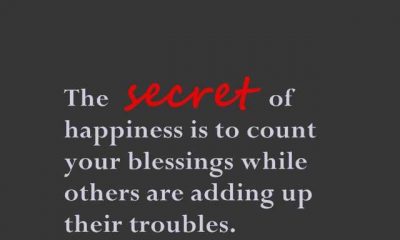 Powerful Quotes About Happiness Life