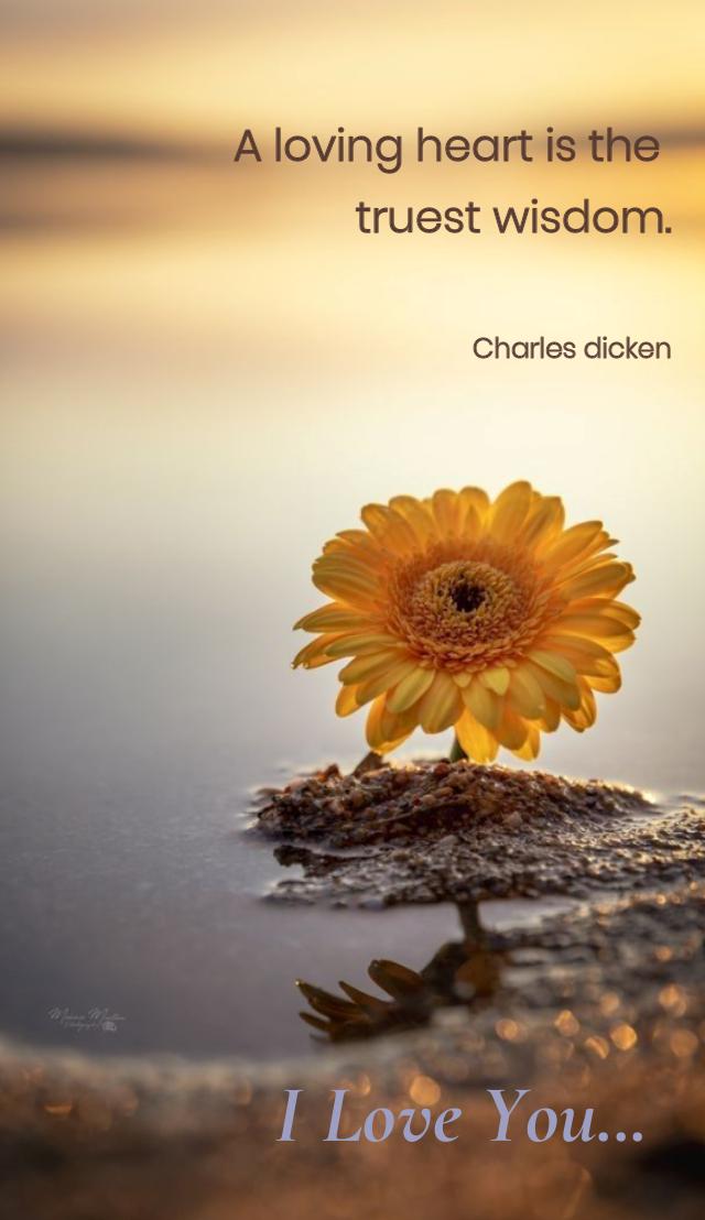 Romantic love quotes about love and life Romantic love quotes about love and life