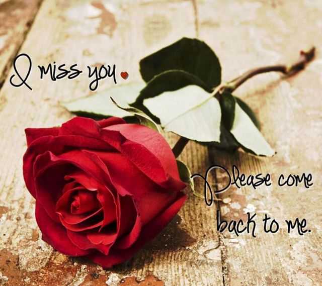Sad Love Quotes I Miss You Please Come Back To Me