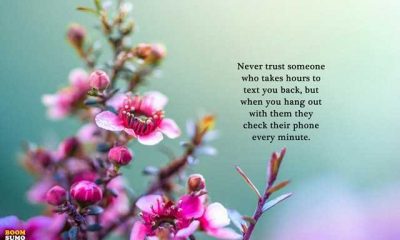 funny inspirational Quotes Never trust someone