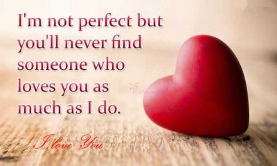 Best Love Quotes I'm Not Perfect but You'll Never Find