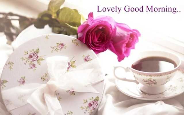 Good Morning Quotes About Lovely Good Morning
