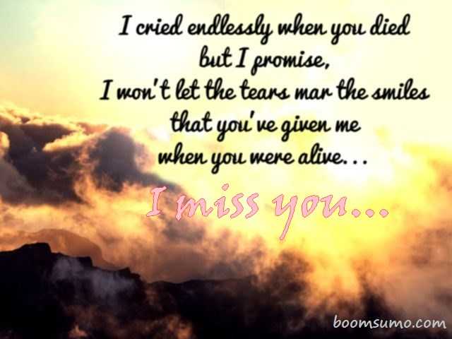 Relationship Quotes I Miss You I Cried Endlessly When You