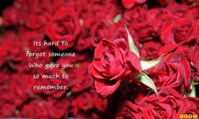 Sad Love Quotes About Love Forgot Someone