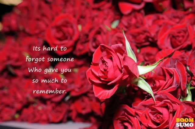 Sad Love Quotes About Love Forgot Someone
