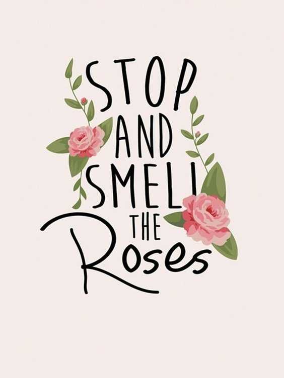 50 Motivational And Inspirational Quotes Youre Going To Love 6 50 Motivational And Inspirational Quotes Youre Going To Love 6
