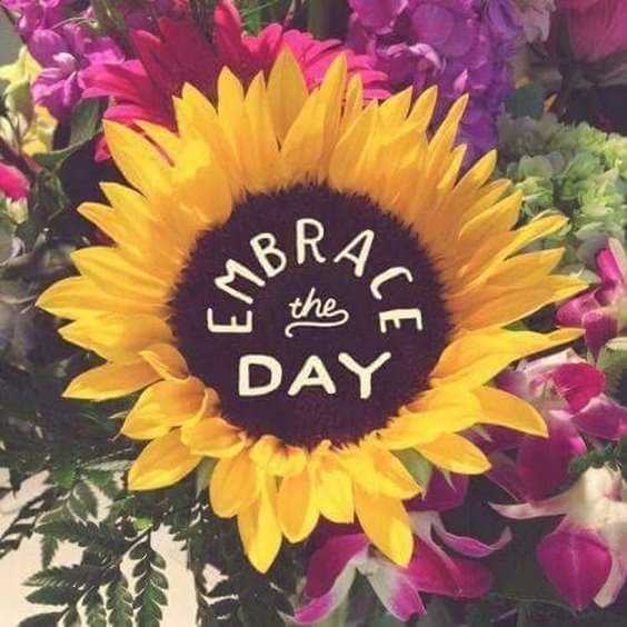 Best 25 Morning Quotes Ideas That Will Inspire 17 Best 25 Morning Quotes Ideas That Will Inspire 17