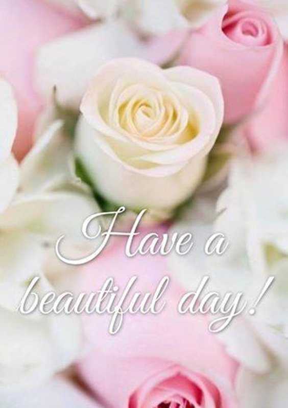 Best 25 Morning Quotes Ideas That Will Inspire 34 Best 25 Morning Quotes Ideas That Will Inspire 34