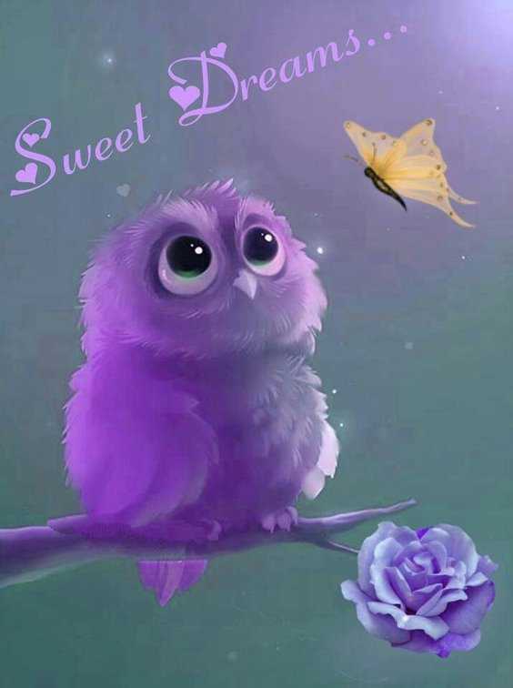 Best 25 Morning Quotes Ideas That Will Inspire 37 Best 25 Morning Quotes Ideas That Will Inspire 37