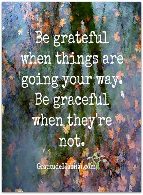 56 Inspiring Motivational Quotes About Gratitude to Be Double Your Happiness 18