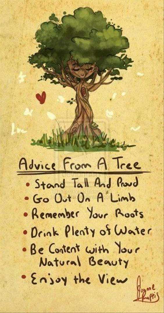 75 Beautiful Inspirational Quotes Motivational Quotes With Images 52 75 Beautiful Inspirational Quotes Motivational Quotes With Images 52