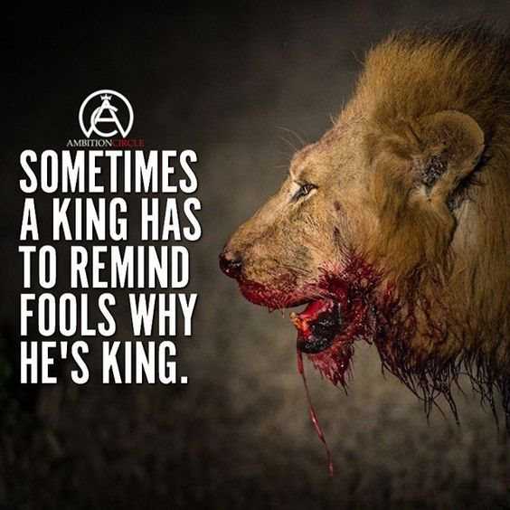 86 Inspirational Quotes That Will Change Your Life 48 86 Inspirational Quotes That Will Change Your Life 48