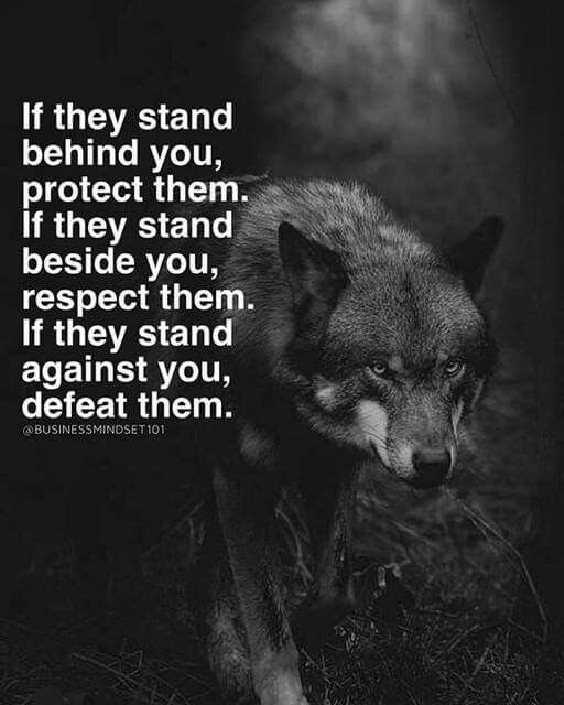 86 Inspirational Quotes That Will Change Your Life 52 86 Inspirational Quotes That Will Change Your Life 52