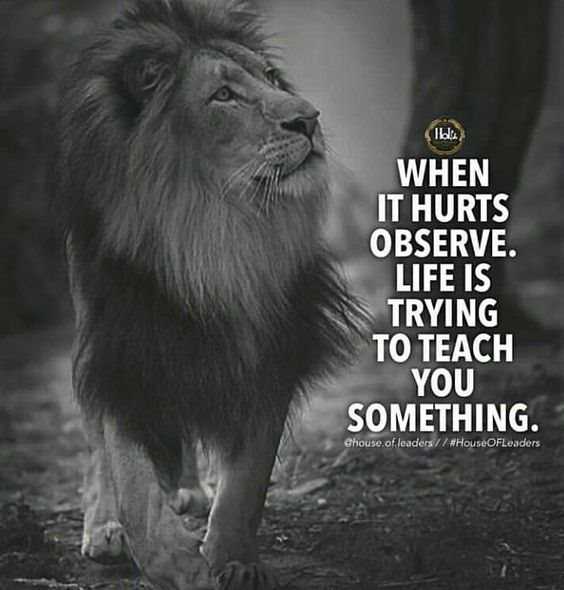 86 Inspirational Quotes That Will Change Your Life 54 86 Inspirational Quotes That Will Change Your Life 54