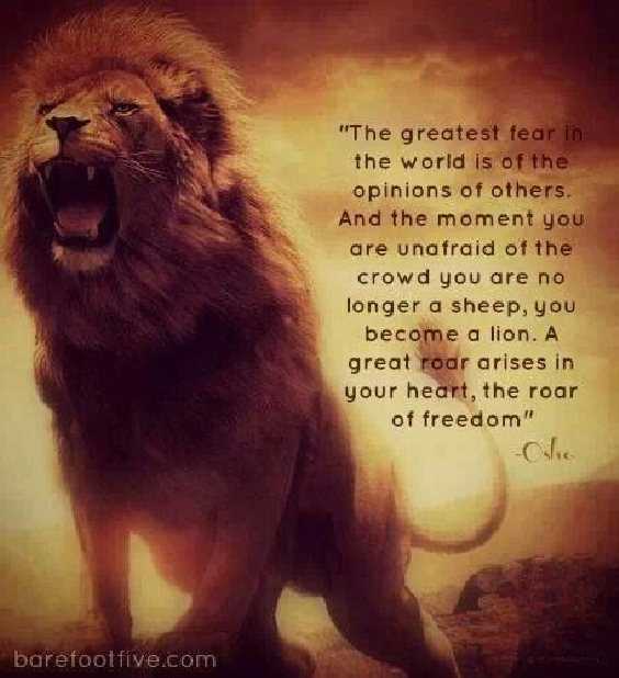 86 Inspirational Quotes That Will Change Your Life 64 86 Inspirational Quotes That Will Change Your Life 64