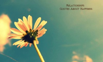 Relationships Quotes About Happiness Life To Live By