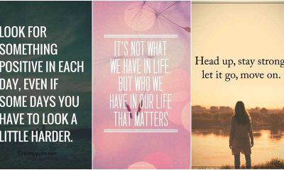 89 Top Quotes About Life That Will Inspire You Extremely