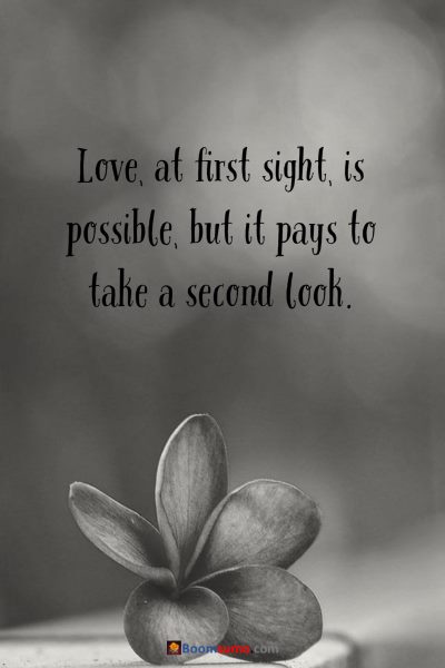 Best Quotes about Relationship and Images 3 Best Quotes about Relationship