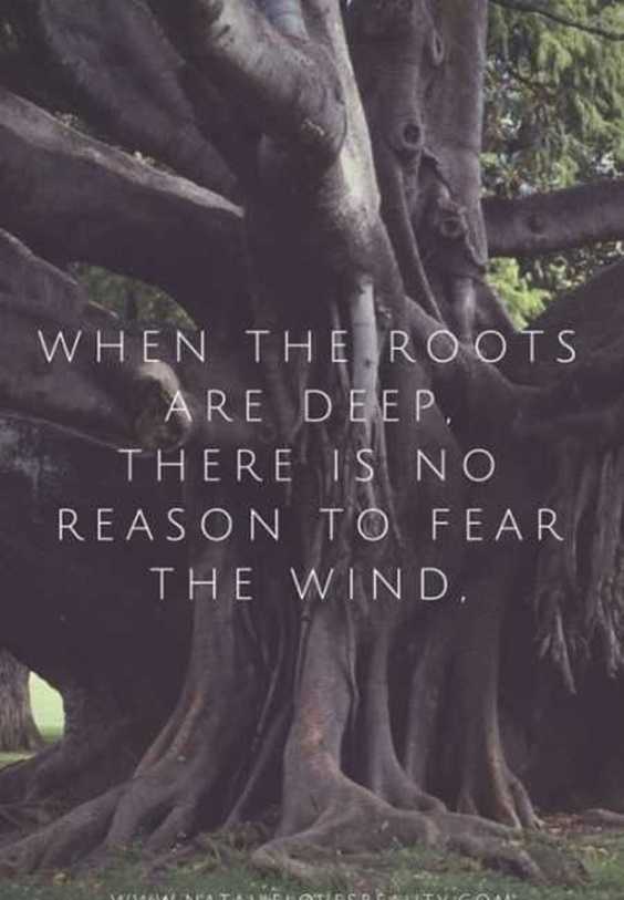100 Encouraging Quotes And Words of Encouragement Positive 8 100 Encouraging Quotes And Words of Encouragement Positive 8