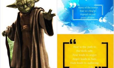 142 Yoda Quotes Youre Going To Love