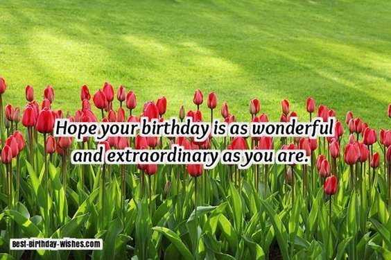 40 Friends Forever Quotes Best Birthday Wishes for Your Best Friend 3