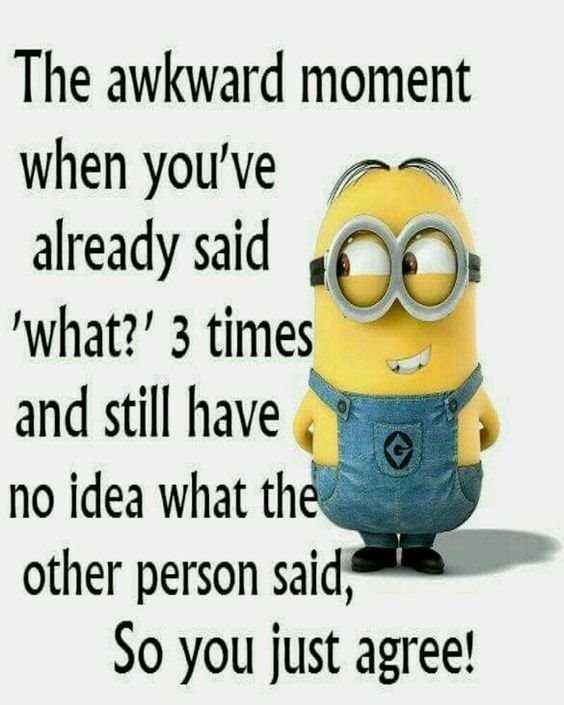 Top 79 Funny Minions Quotes and Funny Pictures 3