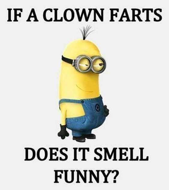 Top 79 Funny Minions Quotes and Funny Pictures 8