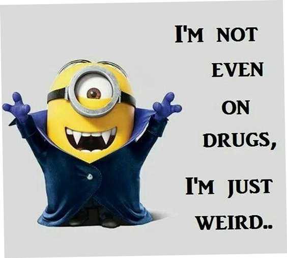 Top 79 Funny Minions Quotes and Funny Pictures 9