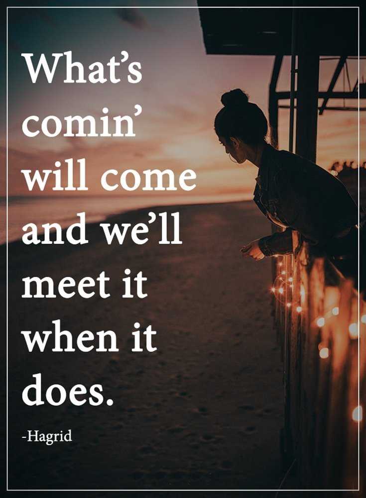 342 Motivational Inspirational Quotes About Life 114 342 Motivational Inspirational Quotes About Life 114