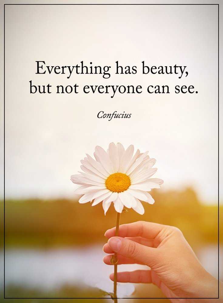 342 Motivational Inspirational Quotes About Life 119 342 Motivational Inspirational Quotes About Life 119