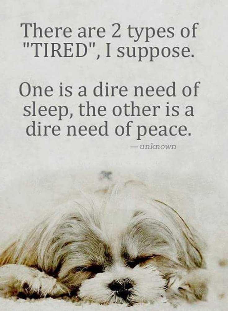 342 Motivational Inspirational Quotes About Life 137 342 Motivational Inspirational Quotes About Life 137